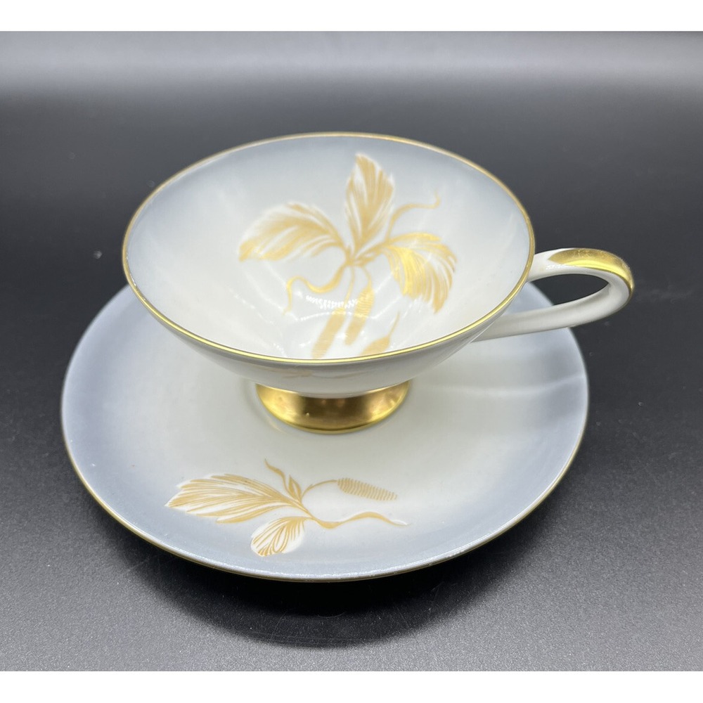 Vintage Hutschenreuther Arzberg Bavaria Germany Cup & Saucer Set